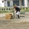 Babie Lato 2016